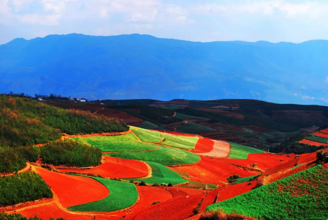 云南東川紅土地的最佳旅游時間是什么時候？