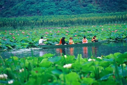 2022普者黑夏令營：山水田園，萬畝荷花游學(xué)，探訪彝族古村，感知民族文化！