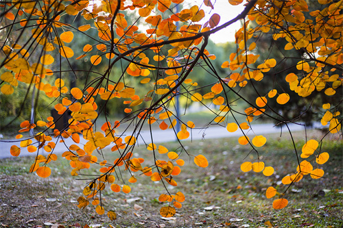 云南文創(chuàng)雪糕火出圈，“雪糕+景點”網(wǎng)紅式打卡驚靚一夏！