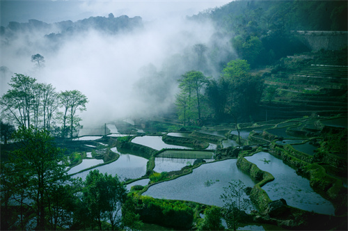 鄉(xiāng)村健康養(yǎng)生產(chǎn)業(yè)的客戶群體有哪些？它有什么開發(fā)要點(diǎn)？