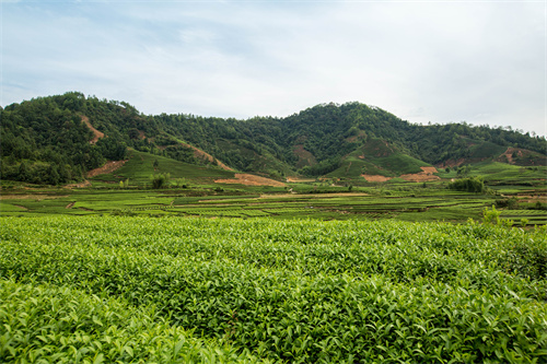 云南研學(xué)旅行地點推薦--昆明親子研學(xué)旅行  啟發(fā)孩子思想  啟迪孩子思維