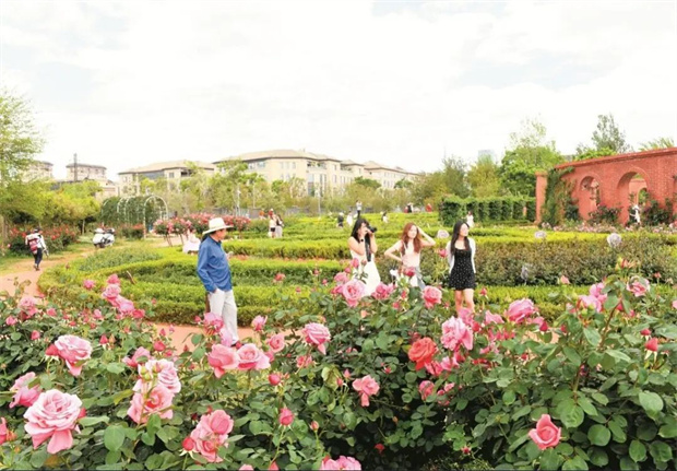 云南旅游,云南旅行社,云南團建公司,云南策劃公司,云南會議公司,昆明旅游,昆明旅行社,昆明團建公司,昆明策劃公司,昆明會議執(zhí)行：旅居昆明，在花海里通關四季！花歷正在更新，等你來簽收春天→